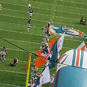 Picture 008